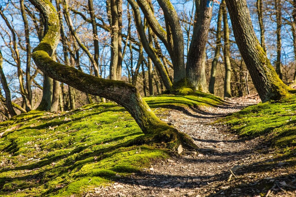 Discover the Hidden Beauty: The Best Hiking Trails in the Greek Islands