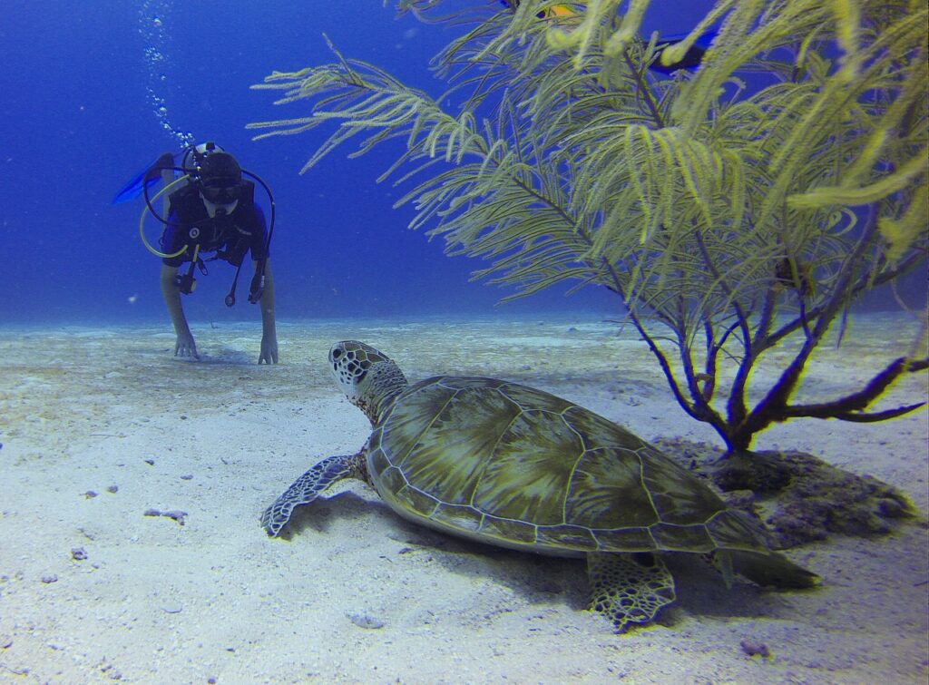 Discovering the Hidden Secrets: Diving Spots in the Greek Islands