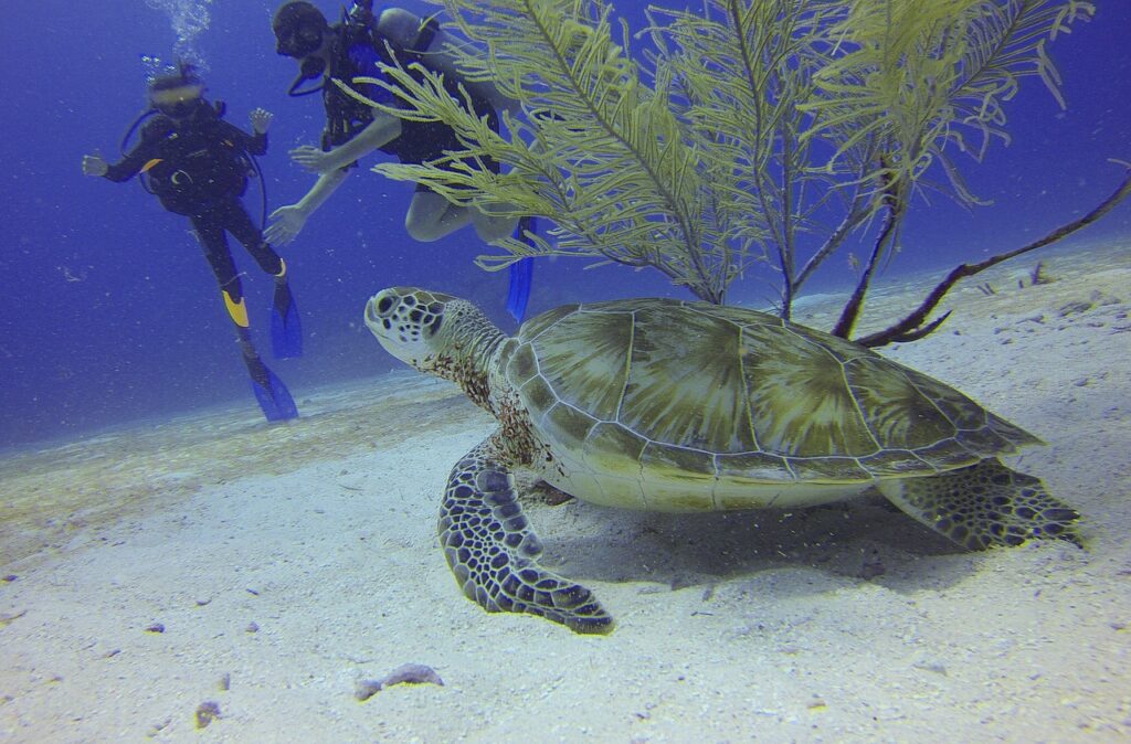 Discovering the Hidden Secrets: Diving Spots in the Greek Islands