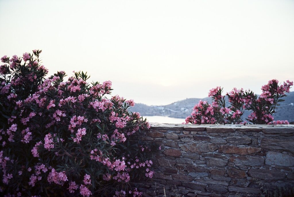 Discovering the Serene Beauty of Ios Greek Islands